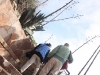 The Agave Trail
