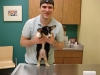 Bailey's First Vet Visit