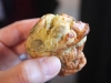 Savory Eggy Muffin