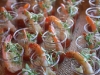 Poached Gulf Prawns And Chile-Gazpacho from the Waterfront Hotel