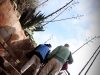 Life Returns with Park Visitors