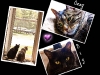 Mara's Cats Big and Ozzy