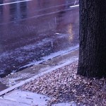 IMG_4639.jpg