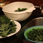 IMG_5498.jpg