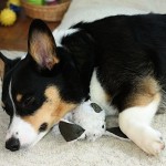 IMG_7932.jpg