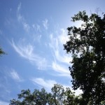 IMG_2130640x427.jpg