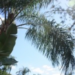 IMG_3682640x427.jpg