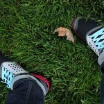 IMG_8094.jpg