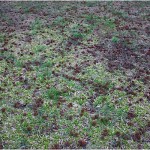 IMG_9229.jpg