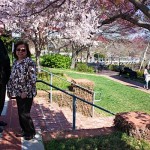 IMG_9287.jpg