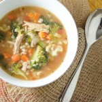 TurkeyVeggieTraySoup-8726.jpg