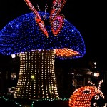 FBFOrlando13-2-5548.jpg
