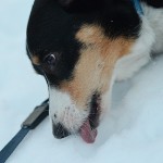 SnowedIn-2186.jpg