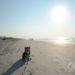 KiawahIsland-6135.jpg