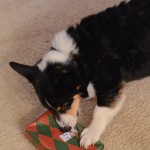 Christmas2014-7106.jpg