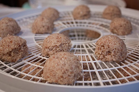 Healthy Coconut Macaroons Recipe