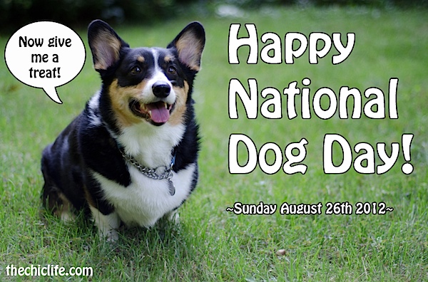 NationalDogDay-08262012.jpg