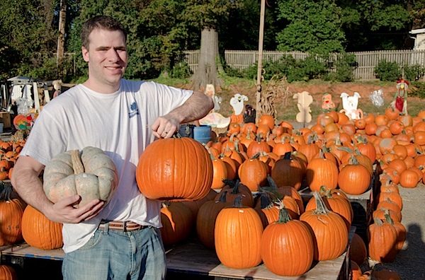 Pumpkins-7329.jpg