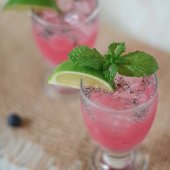 Refreshing Blueberry Chia Fizz Drink Recipe