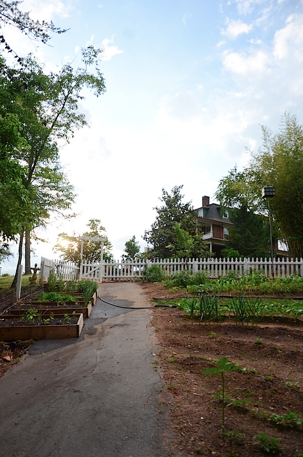 Reynold's Mansion - Asheville, NC