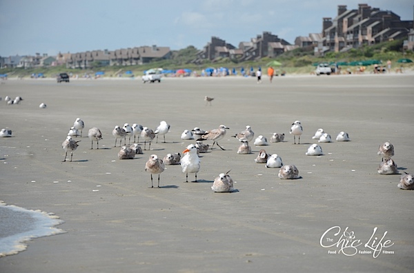 Kiawah Island Birthday Beach Weekend {Day 1}