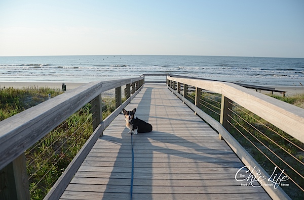 Kiawah Island Birthday Beach Weekend {Day 3}