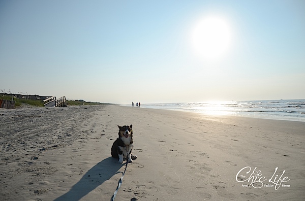 Kiawah Island Birthday Beach Weekend {Day 3}