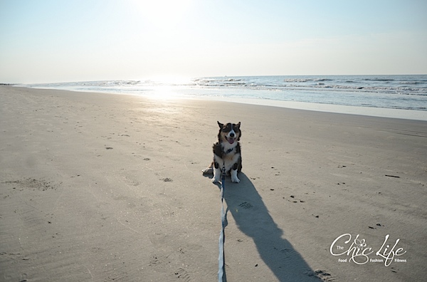 Kiawah Island Birthday Beach Weekend {Day 3}