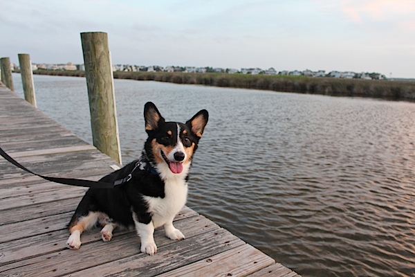 Outer Banks Trip 2015 (Pier and Blue Moon Beach Grill) *Video*