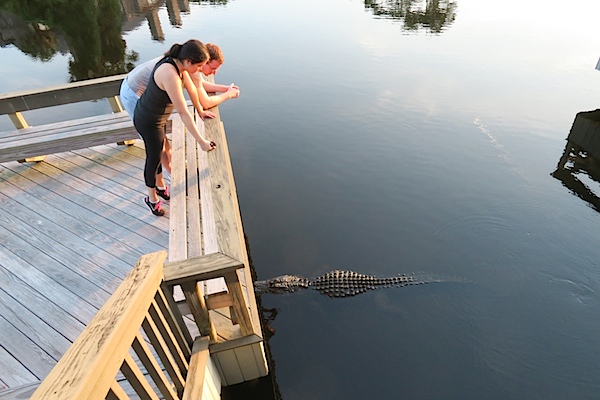 Kiawah Island Trip 2015 Day 3 {Gators, Pool Treats, and Sunset}