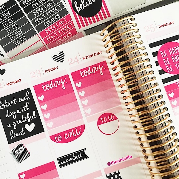 Planner Decorations February 2016 (Erin Condren Vertical)