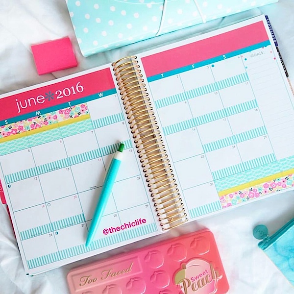 Planner Decorations June 2016 (Erin Condren Vertical)