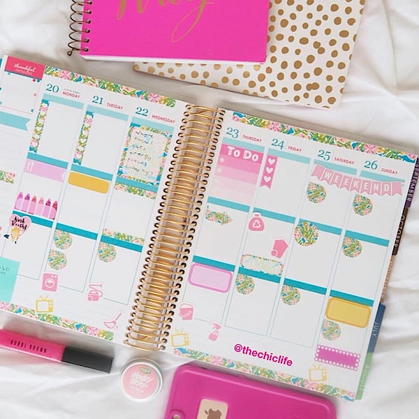 Planner Decorations June 2016 (Erin Condren Vertical)