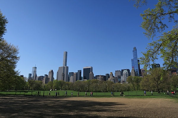 Bailey Goes to Central Park