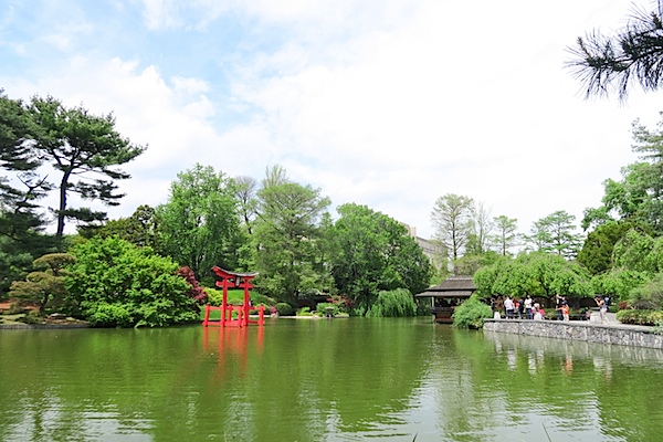 brooklyn botanic garden