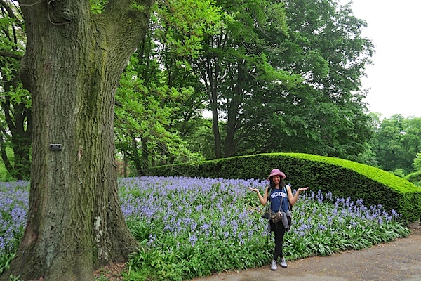 Brooklyn Botanic Garden