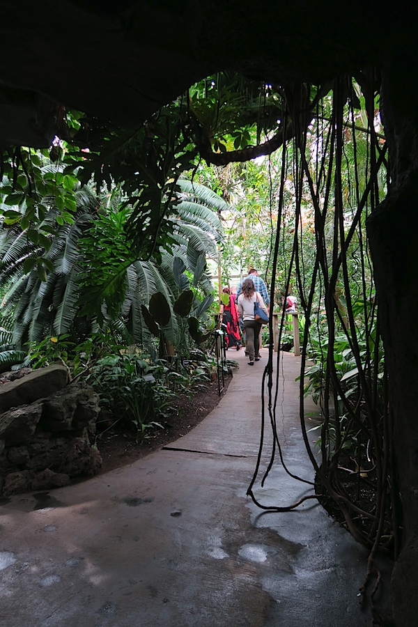 Brooklyn Botanic Garden