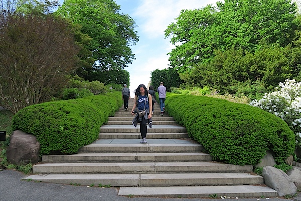 Brooklyn Botanic Garden