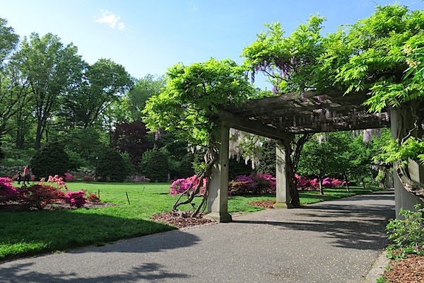 Brooklyn Botanic Garden