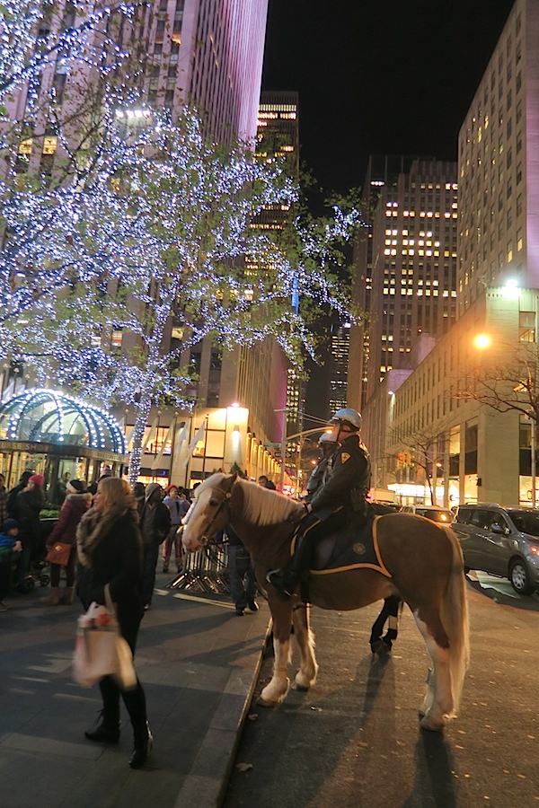 Christmas in NYC 2016