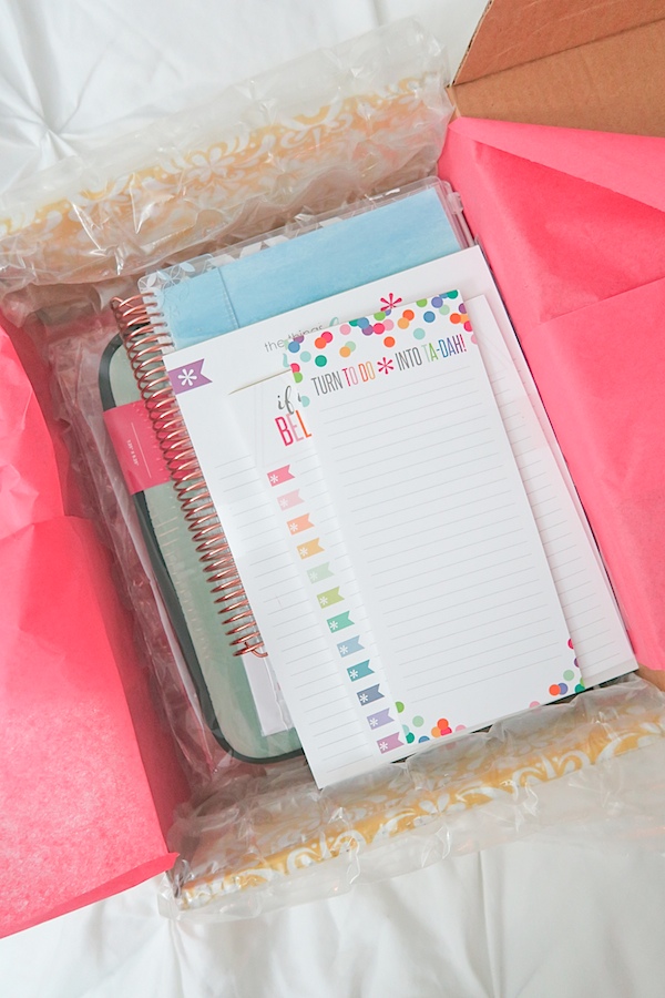 Erin Condren LifePlanner 2017 Unboxing (Vertical and Neutral Layout)