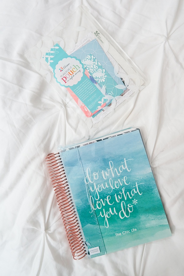 Erin Condren LifePlanner 2017 Unboxing (Vertical and Neutral Layout)