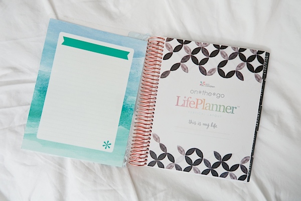 Erin Condren LifePlanner 2017 Unboxing (Vertical and Neutral Layout)