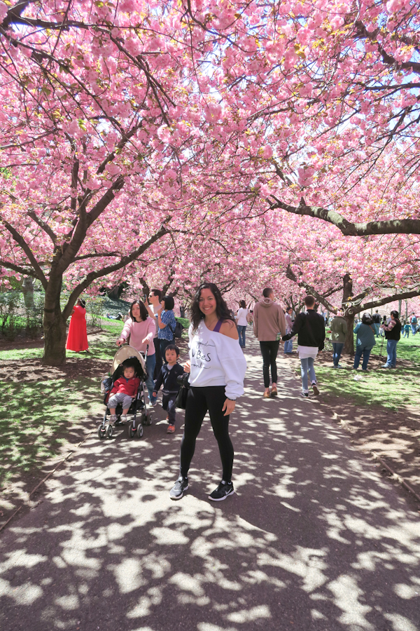 Brooklyn Botanic Cherry Blossom Season 2017