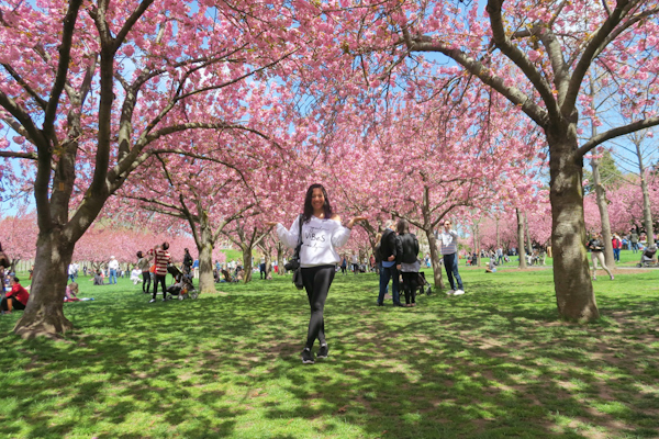 Brooklyn Botanic Garden Cherry Blossom Season 2017 The Chic Life