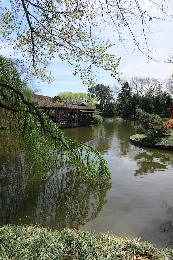 Cherry Garden Botanical Brooklyn