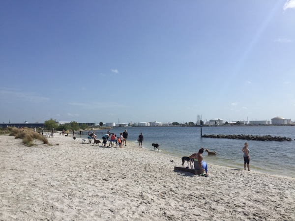 Sisters in Tampa: Day 2 (Biking on Davis Island and Dolphin Cruise)