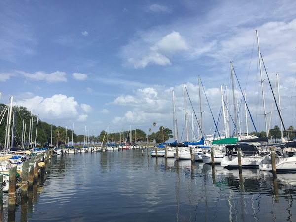 Sisters in Tampa: Day 2 (Biking on Davis Island and Dolphin Cruise)