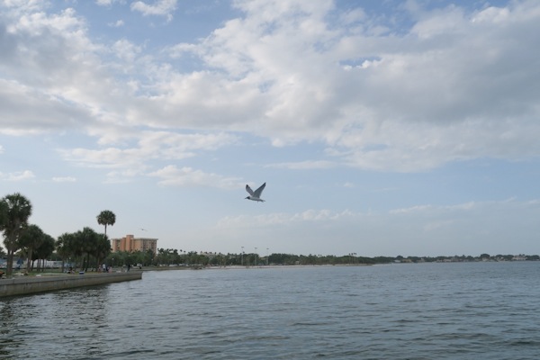 Sisters in Tampa: Day 2 (Biking on Davis Island and Dolphin Cruise)