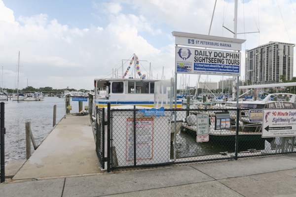 Sisters in Tampa: Day 2 (Biking on Davis Island and Dolphin Cruise)